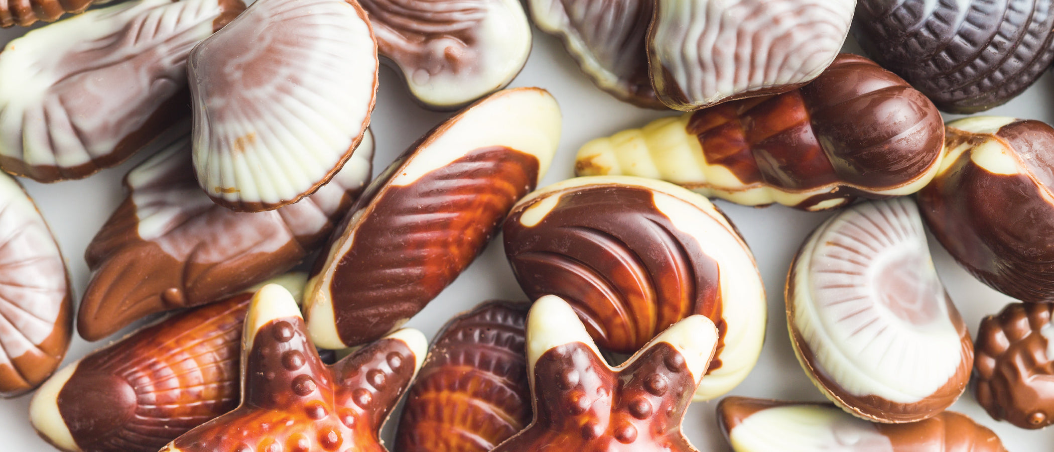 Chocolate Seashells