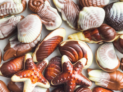 Chocolate Seashells