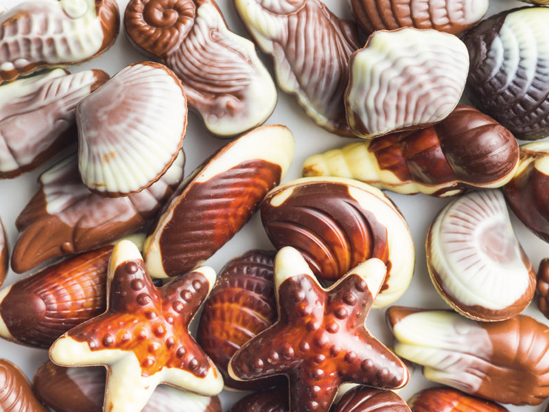 Chocolate Seashells